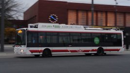 482